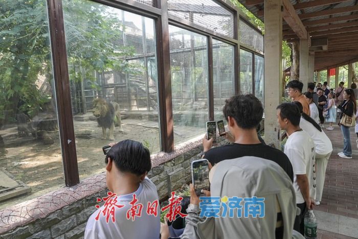 一年四季 泉在济南|济南动物园暑期人气旺,亲子游成主流