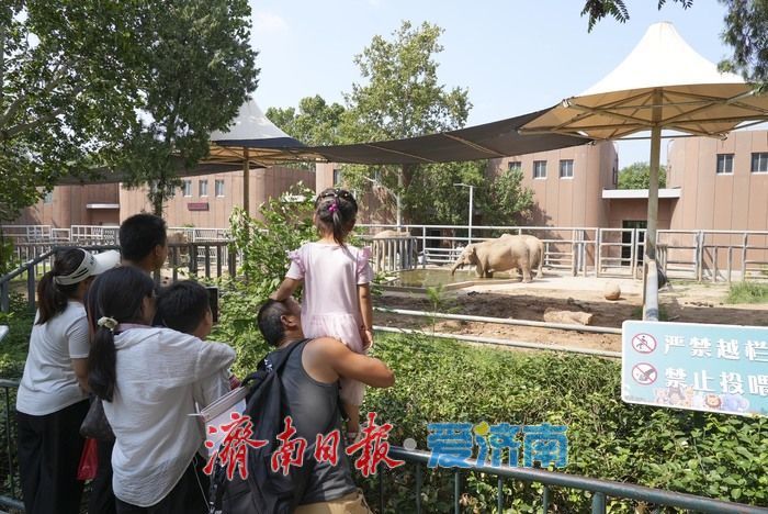 一年四季 泉在济南|济南动物园暑期人气旺,亲子游成主流