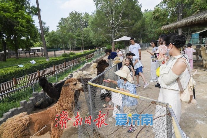 一年四季 泉在济南|济南动物园暑期人气旺,亲子游成主流