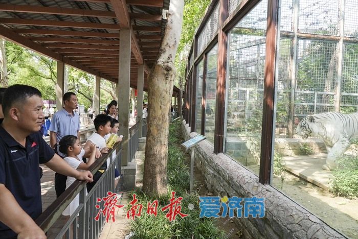 一年四季 泉在济南|济南动物园暑期人气旺,亲子游成主流