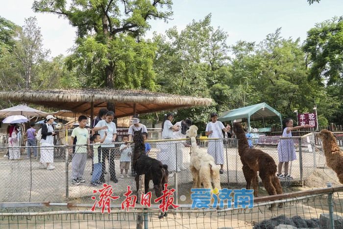 一年四季 泉在济南|济南动物园暑期人气旺,亲子游成主流