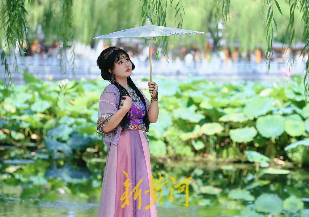 泉城秋日“热”度不减，老街泉边尽是惬意时光